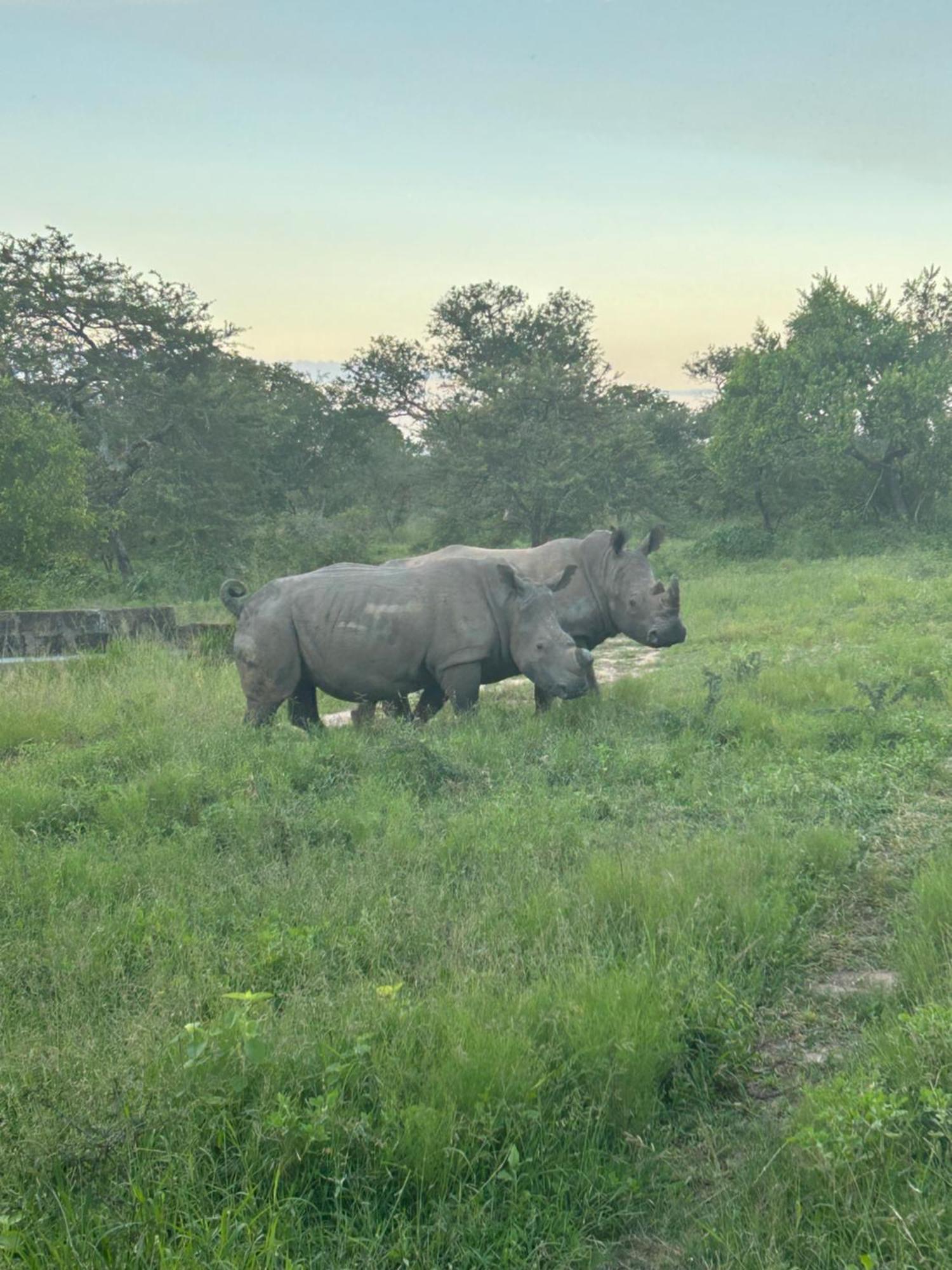 Am Lodge - Hoedspruit Buitenkant foto