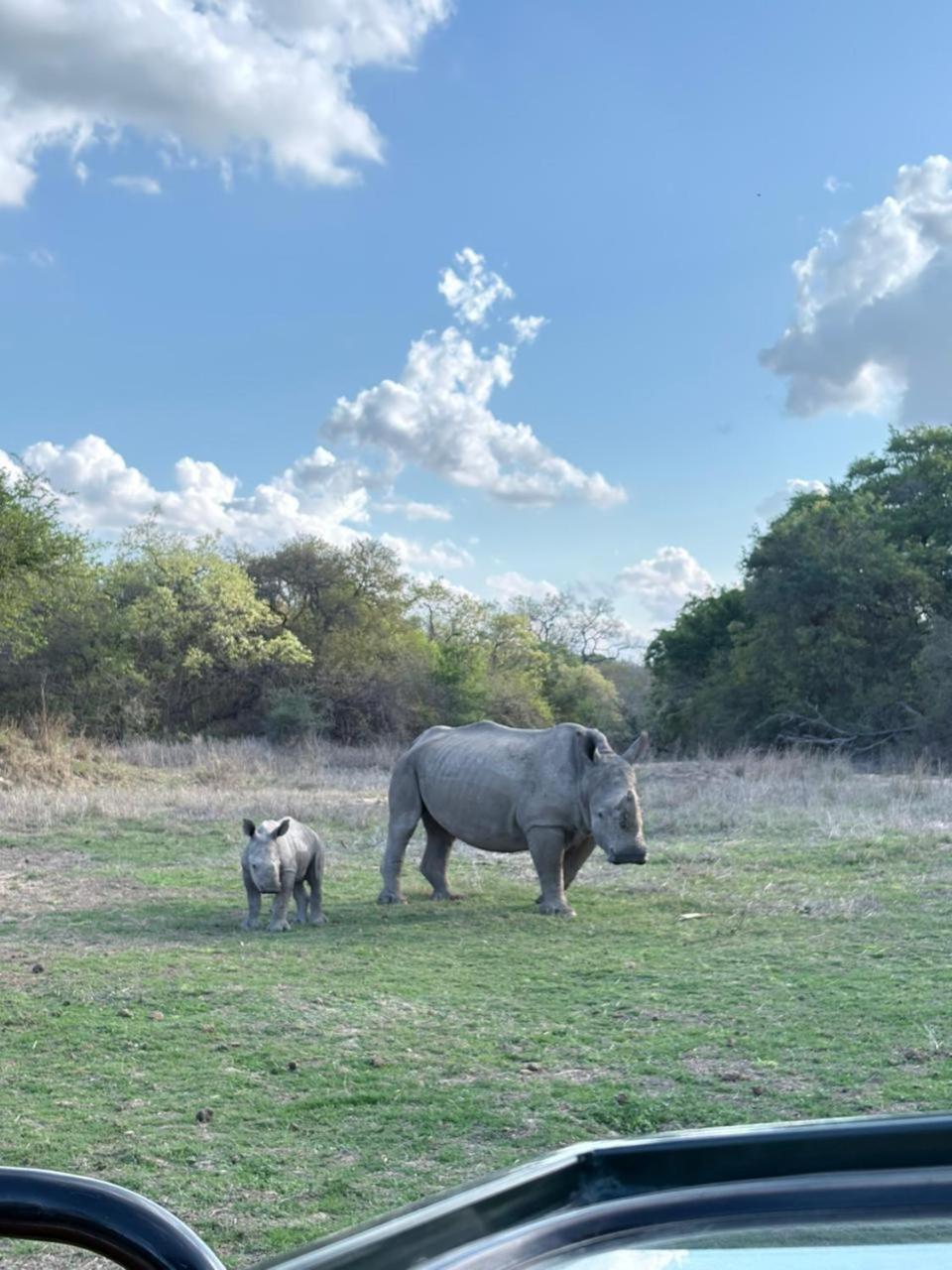 Am Lodge - Hoedspruit Buitenkant foto